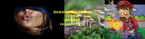 mdpv Армянск