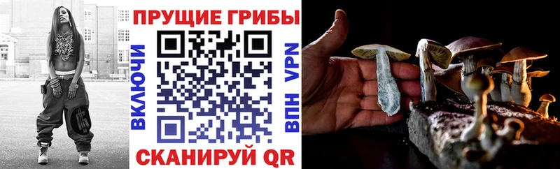 Галлюциногенные грибы Cubensis  Бахчисарай 